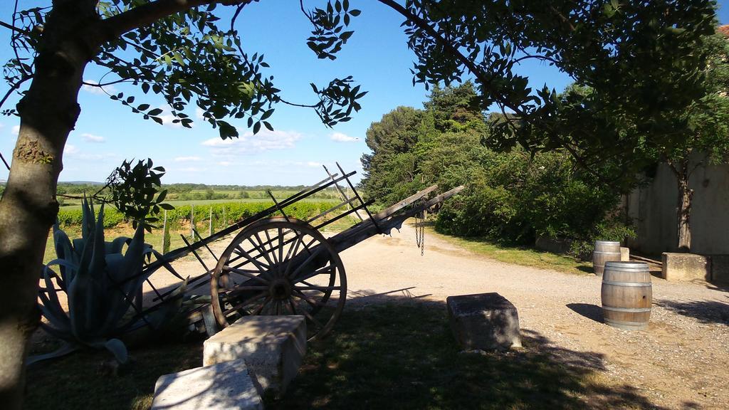 Chateau Le Vergel Authenac Ginestas 객실 사진