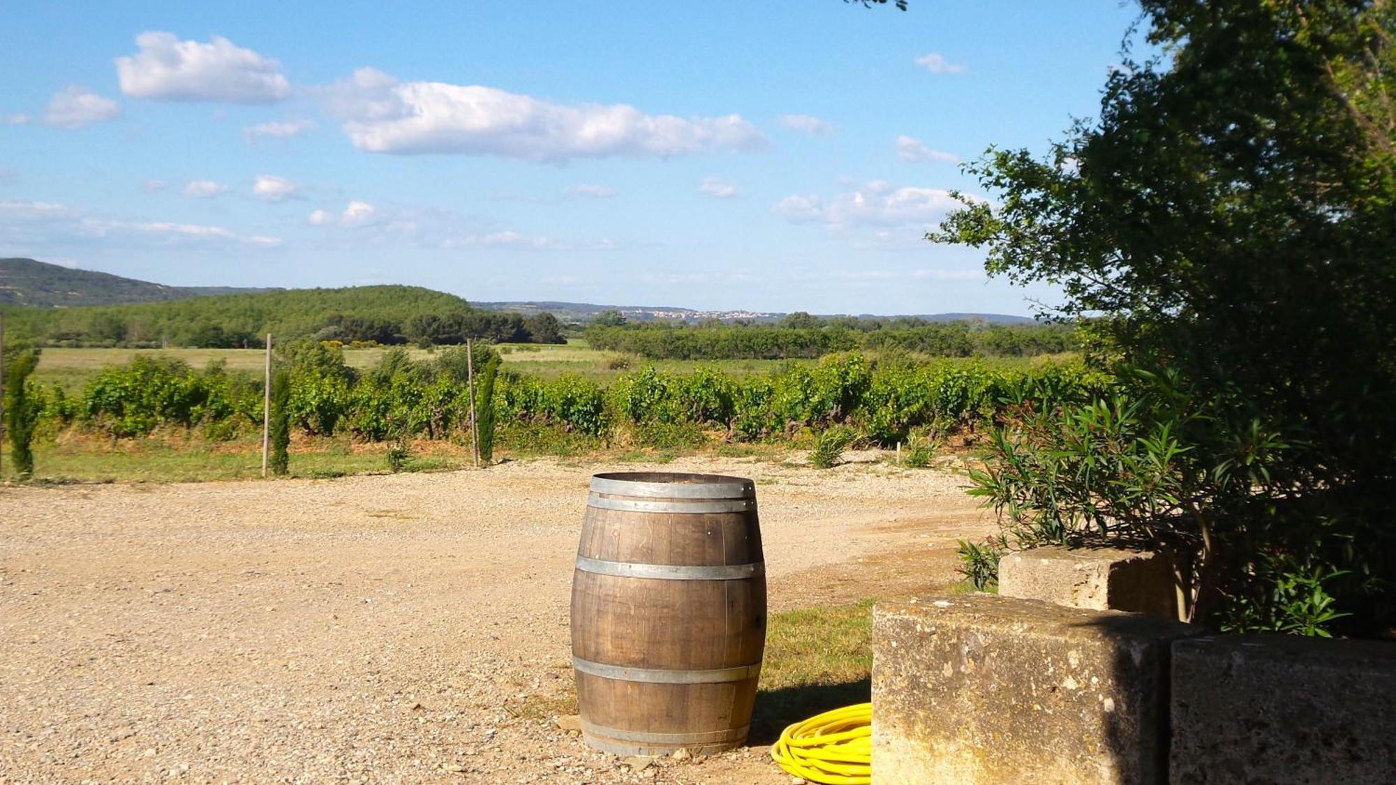 Chateau Le Vergel Authenac Ginestas 객실 사진